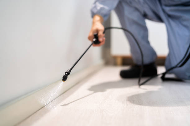 Bed Bug Pre-Treatment Preparation Assessment in San Anselmo