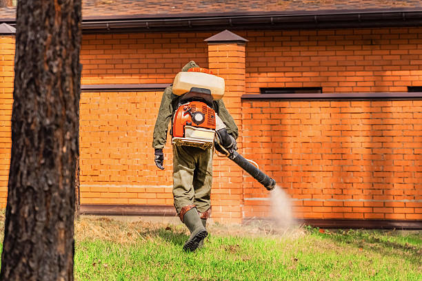 Bed Bug Clearance Verification and Documentation in San Anselmo